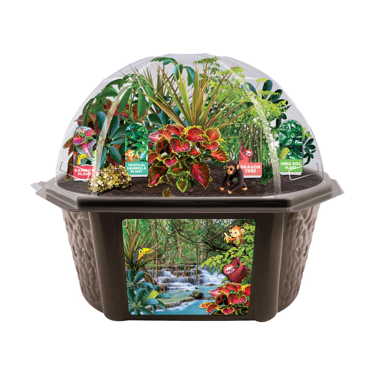 Biosphere Terrarium - Tropical Rainforest Jungle